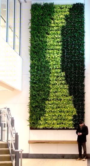 biophilic design