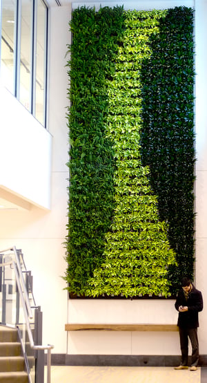 biophilic design