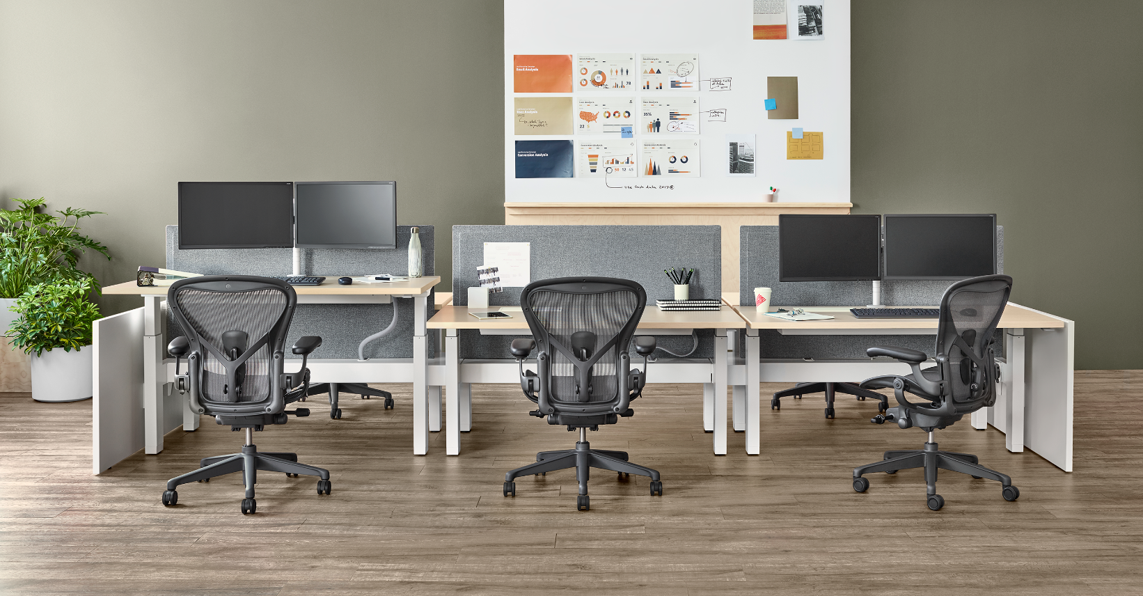 Herman Miller Aeron chairs empty in an office continental office