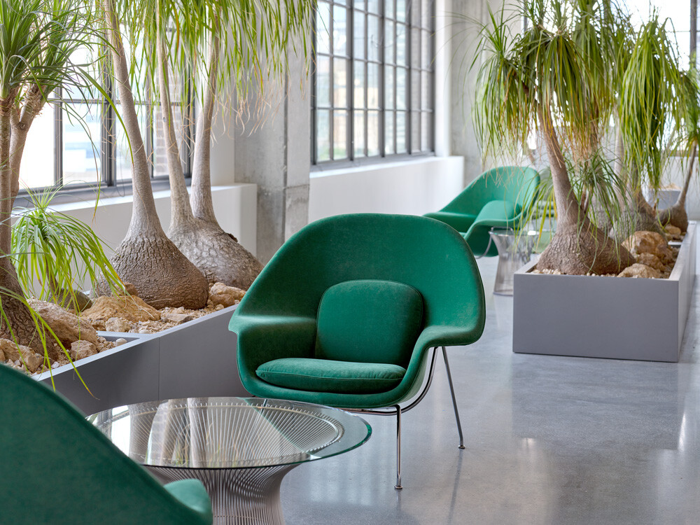 Green Womb Chair