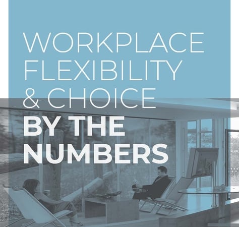 Workplace Flexibility and Choice by the Numbers