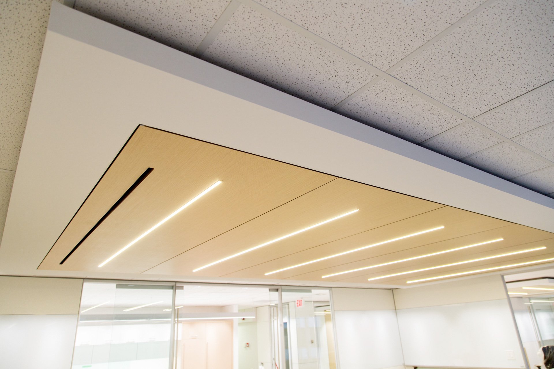 Bespoke Ceiling4